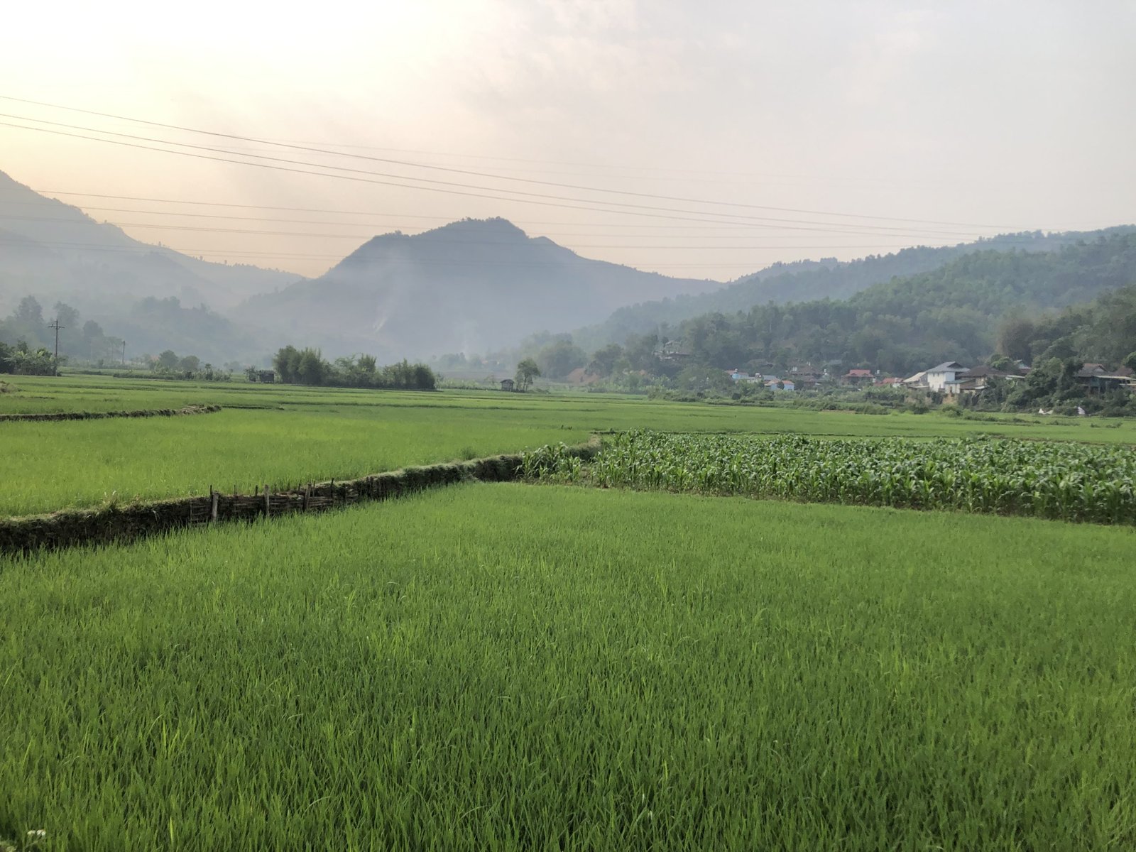 7-Day Northwest Vietnam Cycling Tour: Lai Chau to Moc Chau Adventure